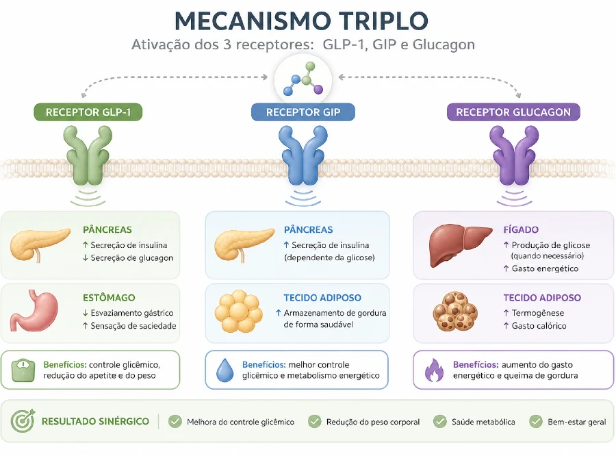 Retatrutida: agonista triplo que atua nos receptores GLP-1, GIP e glucagon