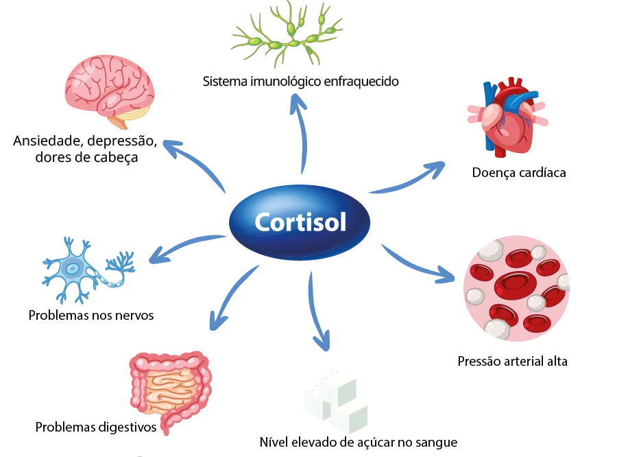 Dra Renata Endocrino - Complicações do Cortisol